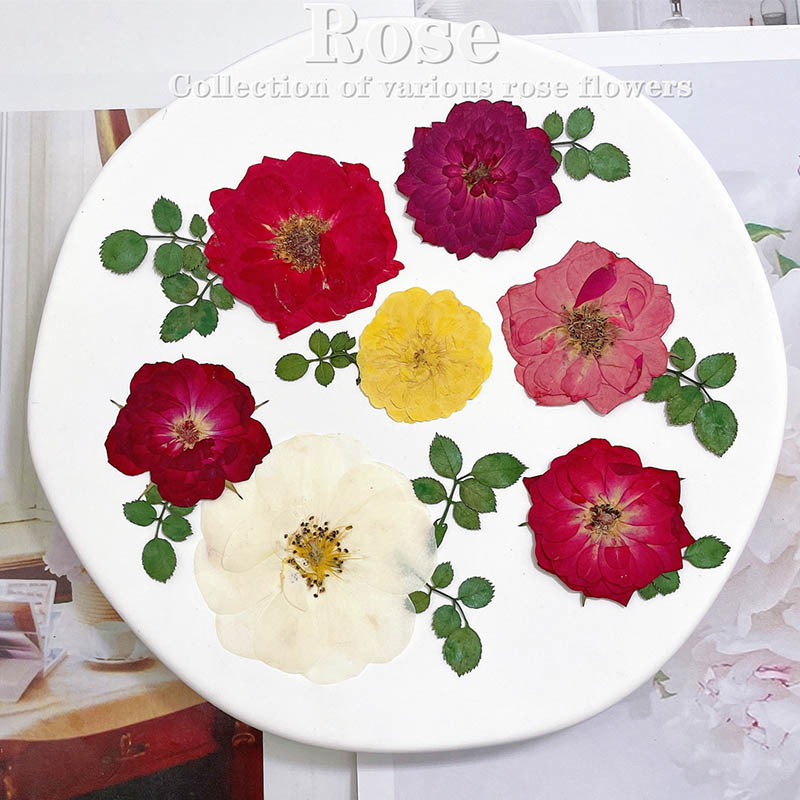 60 個プレス乾燥赤黄ピンクローズフラワー植物ハーバリウムジ - Dried Flower Bookmark のレビューと価格